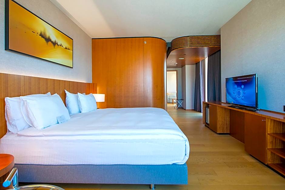 Crowne Plaza Kayseri By IHG