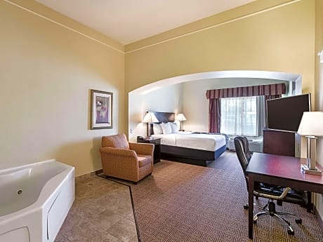 1 King Bed Deluxe Studio Suite Non-Smoking