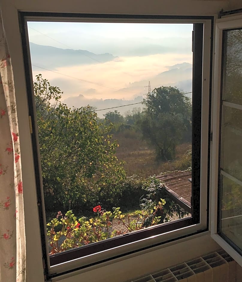 Il Mugello B&B