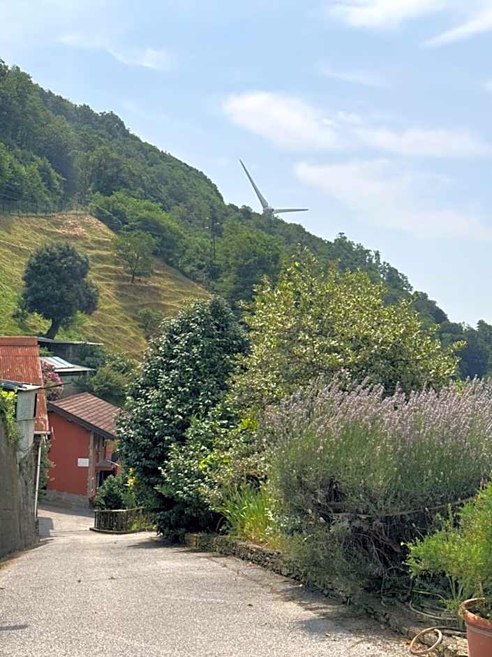 B&b Al Ciliegio Del Turchino