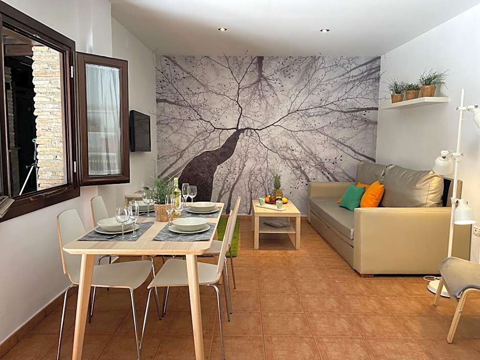 Apartamentos Nest Flats Casa de la Alberca