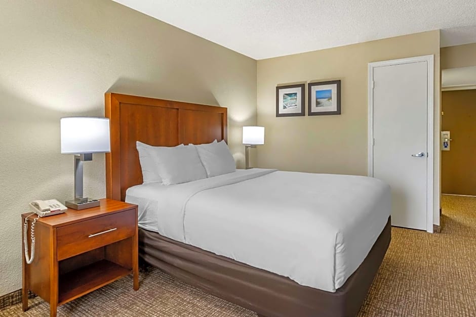 Comfort Inn & Suites St. Pete - Clearwater International Airport