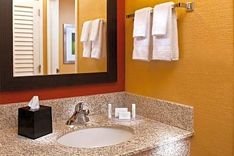 Mobility Accessible Guestroom King Roll-In Shower