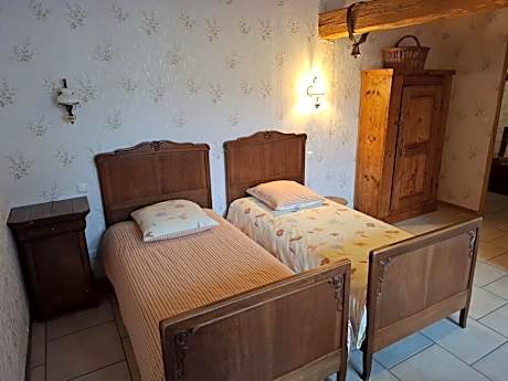 Double or Twin Room with Mountain View