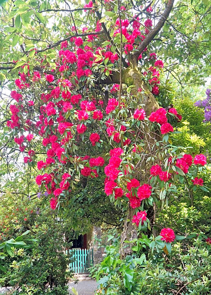 Arnica Views Summit Retreat