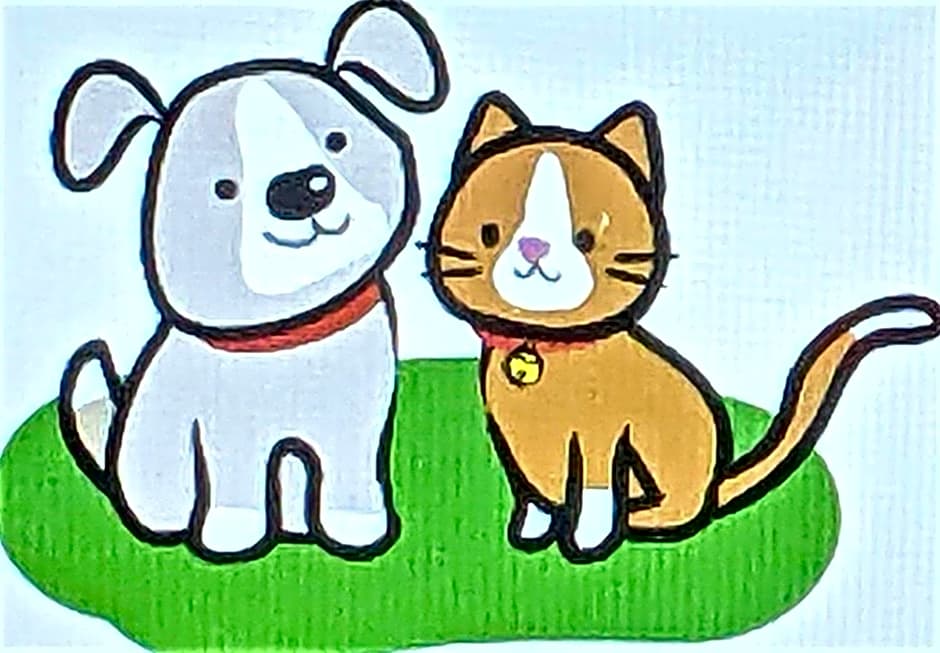 Pension Alba - Vacation STAY 70972v