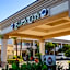Best Western Plus Black Oak