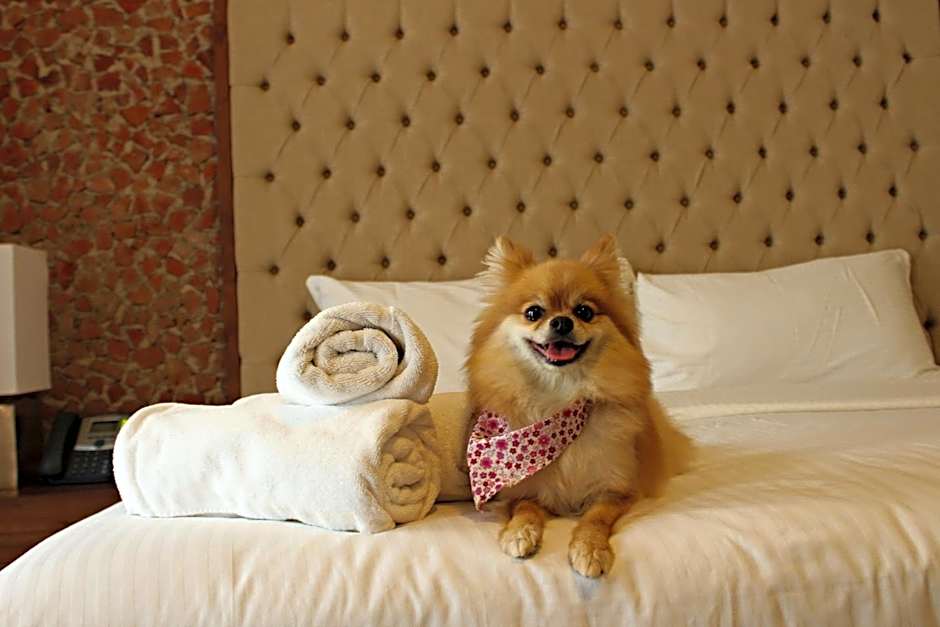 Hotel Hacienda San Cristobal