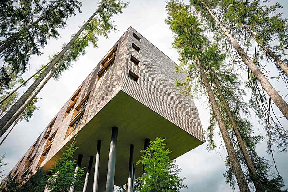 My Arbor - Dolomites