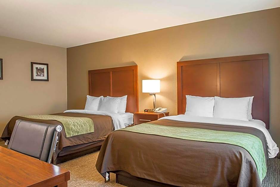 Comfort Inn Edinburg South