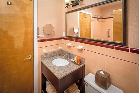 Queen Room with Roll In Shower - Mobility Accessible/Non-Smoking