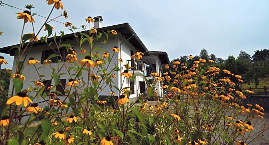 Favetto Family Ranch