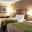 Quality Inn Cleveland, MS