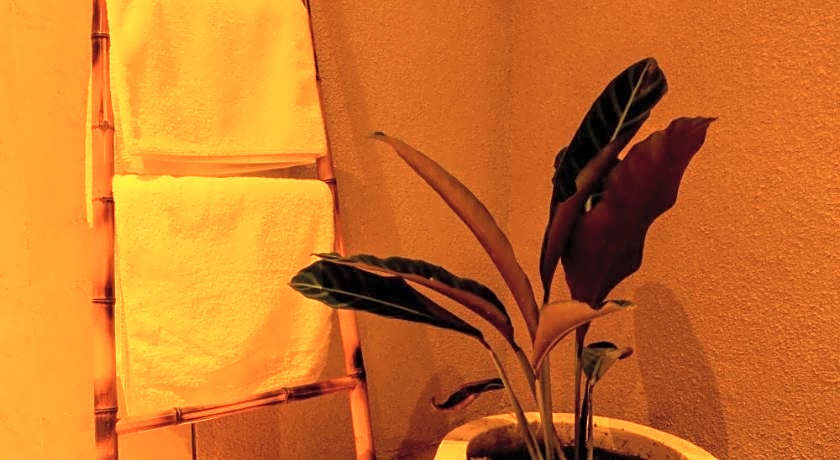 Taman Amertha Villas