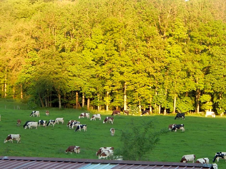 A la source du saolon