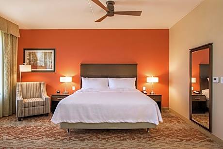 1King Hearing Accessible Studio Suite Nosmok