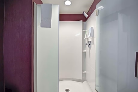 1King Accessible Tub Studio Suite Nonsmoking