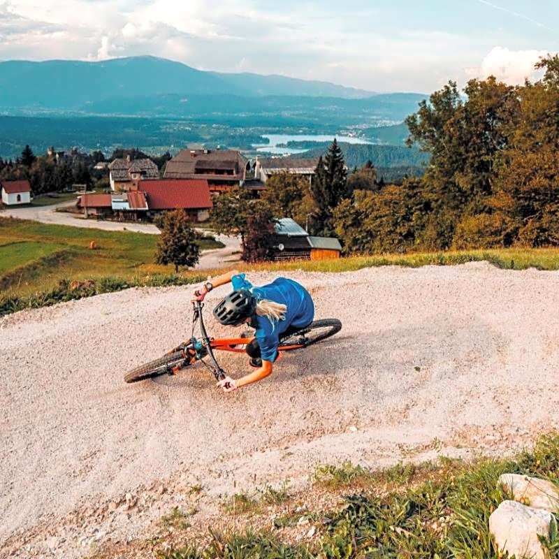 Hotel Baumgartnerhof