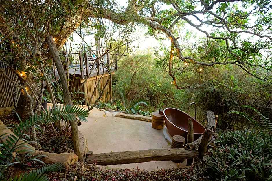 Camp Figtree by The Oyster Collection