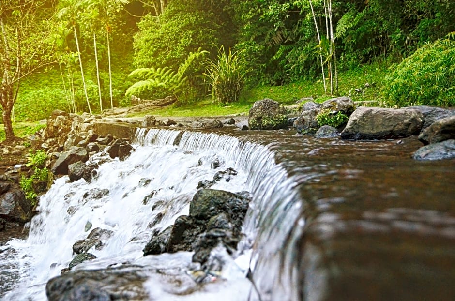 Urbanview Hotel Nerine's Glamping Village Cipanas by RedDoorz