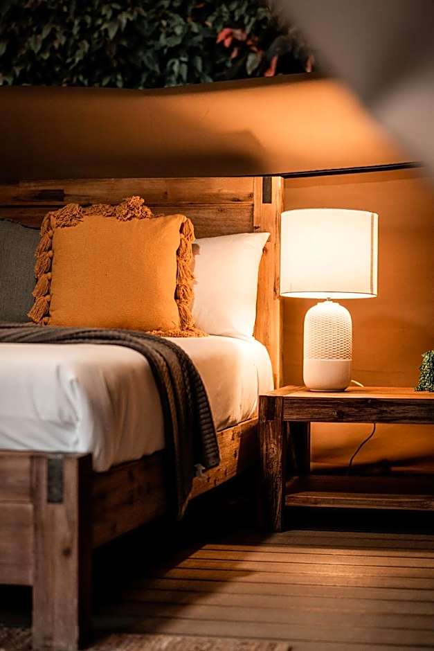 Poinciana at Cooee Bay