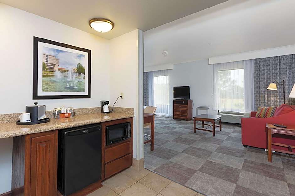 Hampton Inn By Hilton & Suites Baton Rouge I-10 East