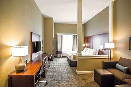 1 King Bed, Suite, Nonsmoking, Accessible