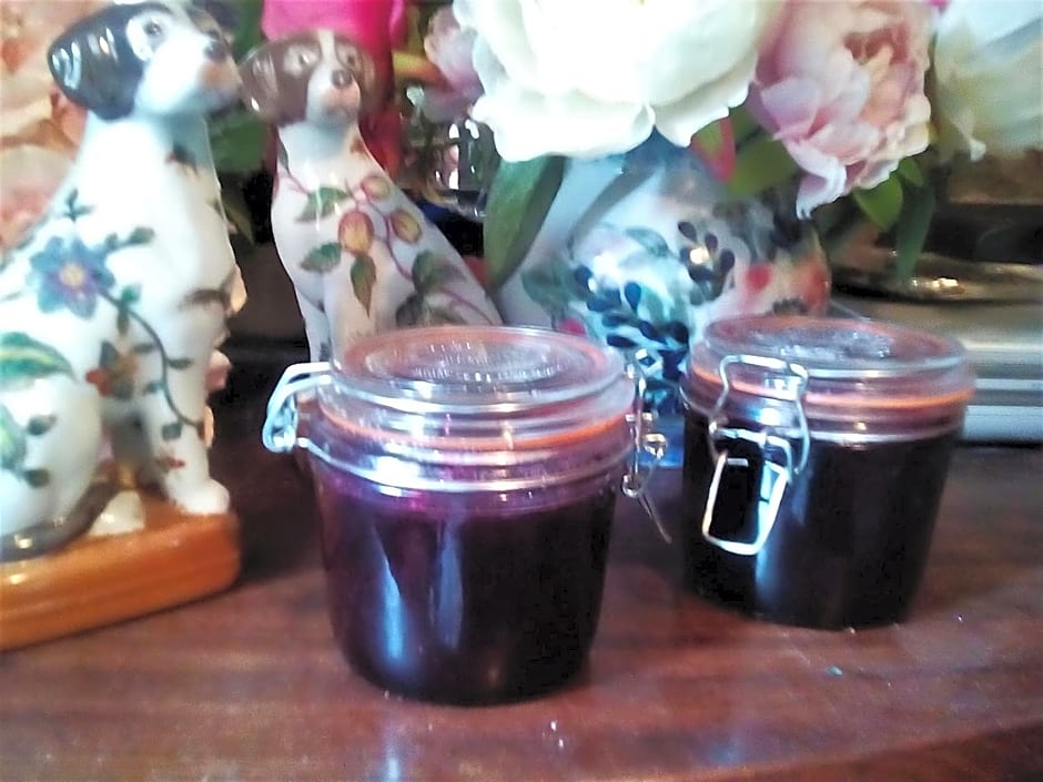 Song of the Sea, Selkie House