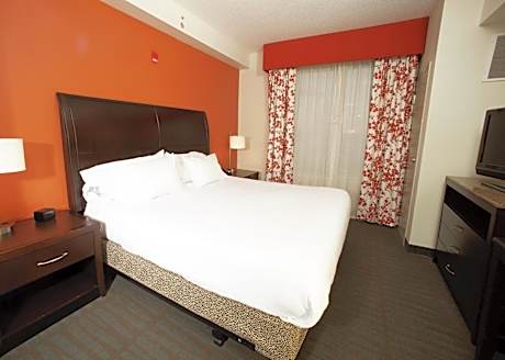 One-Bedroom King Suite with Sofa Bed