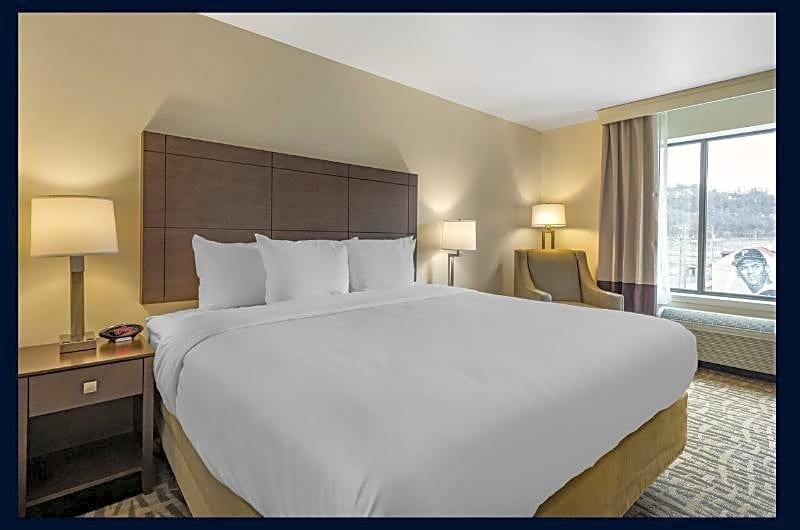 Comfort Inn & Suites Pittsburgh-Northshore