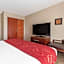 Comfort Suites Downtown Sacramento