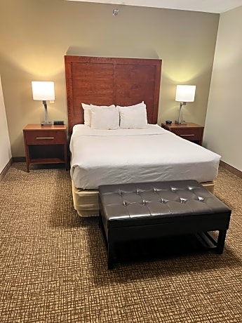 Suite - Queen bed