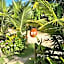 Maui Maui Wellness- Taipu de Fora - Barra Grande