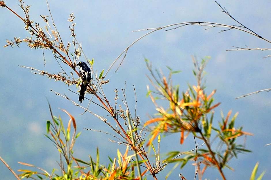 Pousada Encanto da Bocaina - Serra da Bocaina