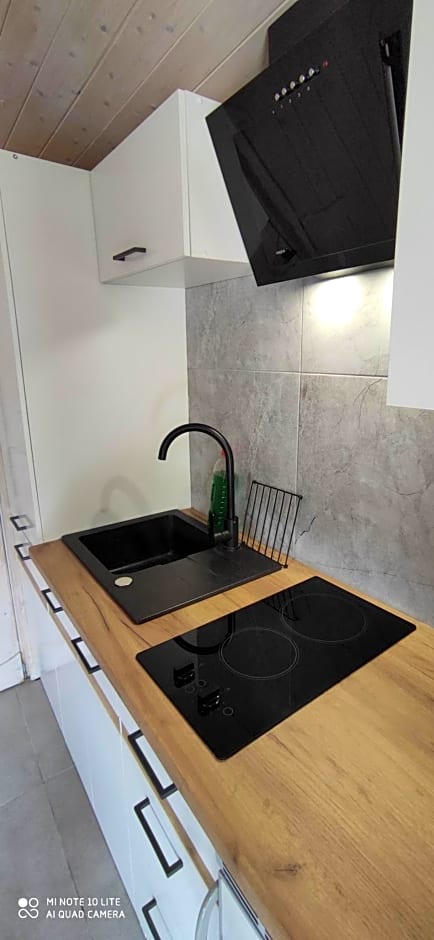 Domki Bieszczadzki Czar Rodzinny 661-850-410