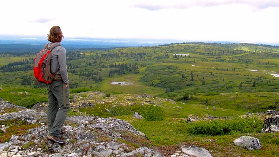 Caribou Lodge Alaska