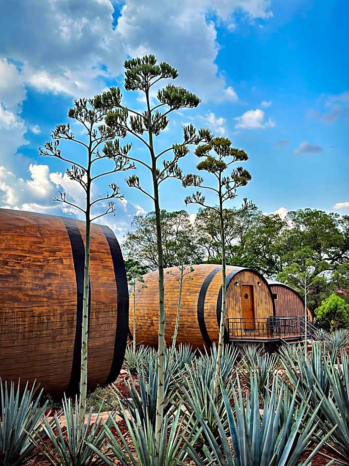 Matices Hotel de Barricas