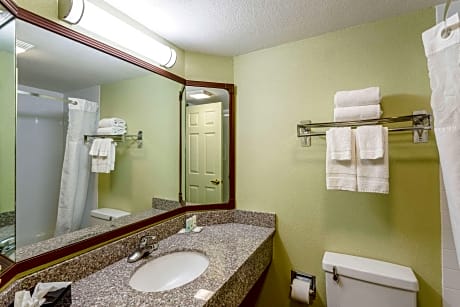 1 King Bed, Nonsmoking