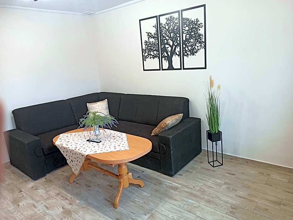 APARTAMENT CENTRUM Międzychód