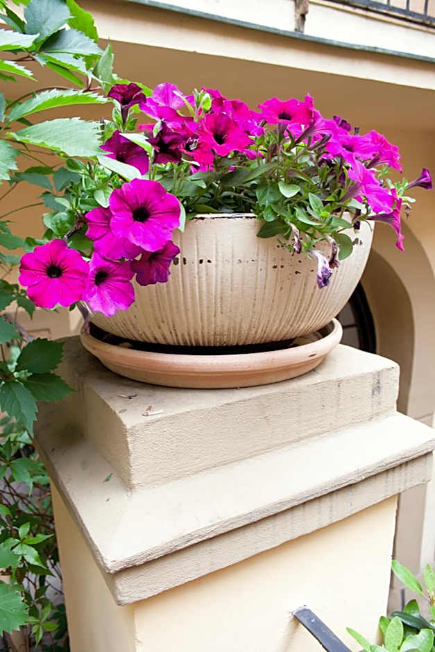 Hotel U Zlateho jelena