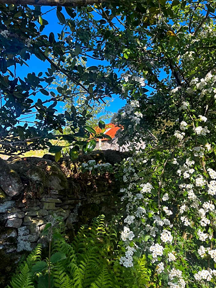 Stoneymollan over Loch Lomond