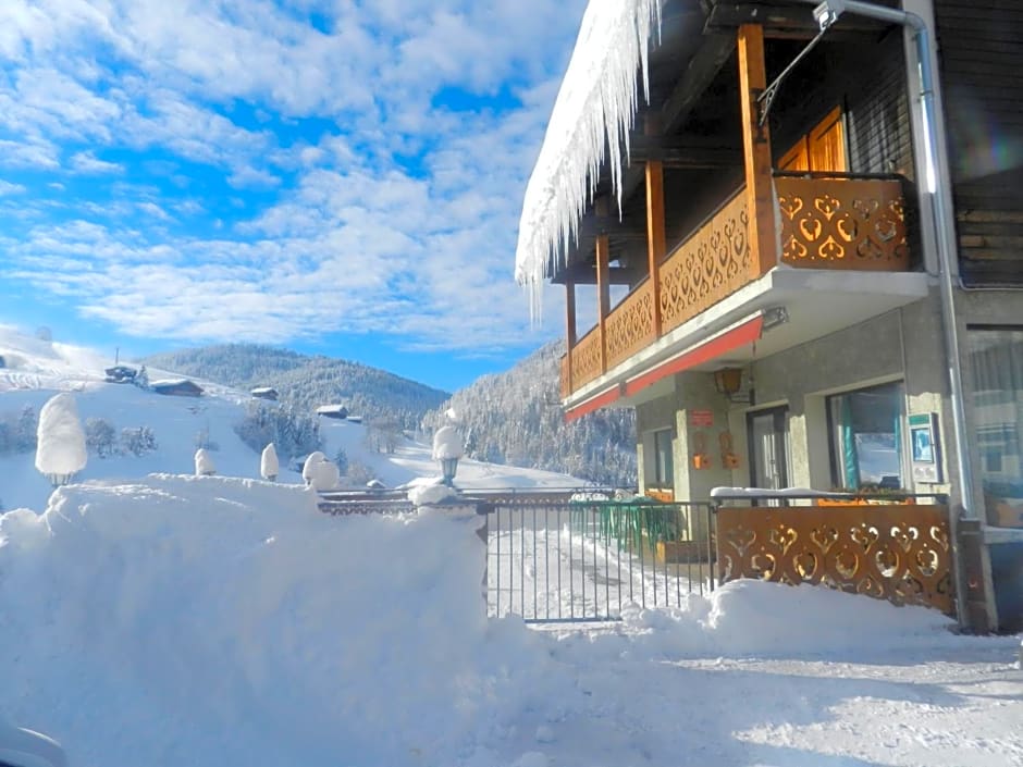 Chalet-Hôtel du Borderan