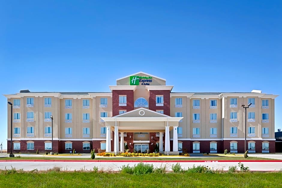 Holiday Inn Express Hotel & Suites Dumas