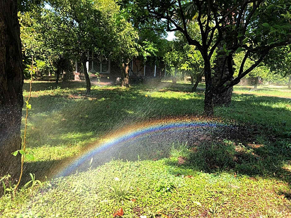 Cirali Armira Bungalow