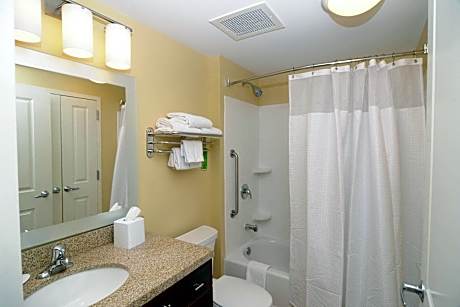 Suite, 1 Bedroom (Mobility/Hearing Accessible, Tub) (1 King Bed and 1 Double Sofa Bed)