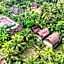 Kubu Artha Bungalow Nusa Penida