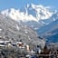 Hotel des Alpes