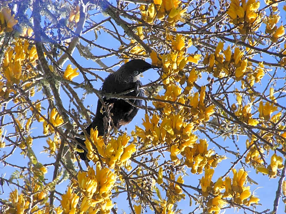 Harbourside Holiday Park