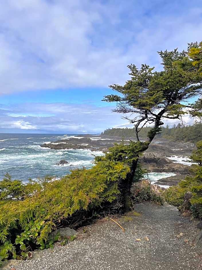 White Haus 2 - Rainforest heaven close to beaches