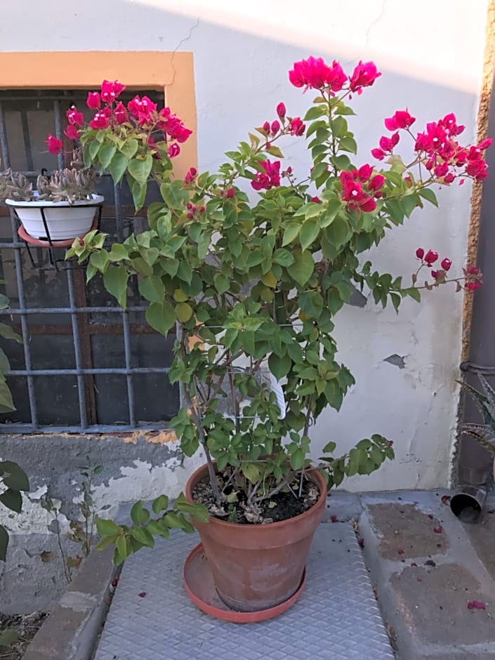 La casa tra i vigneti